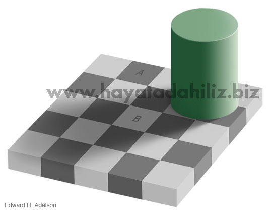 checkershadow_illusion4med